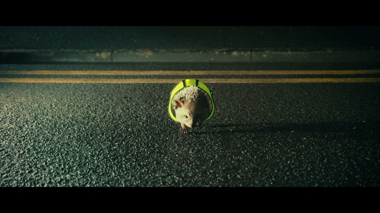 DFI Be Safe, Be Seen like Hi-Viz Harry