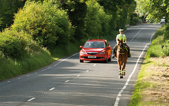 Horse sense for riders and drivers